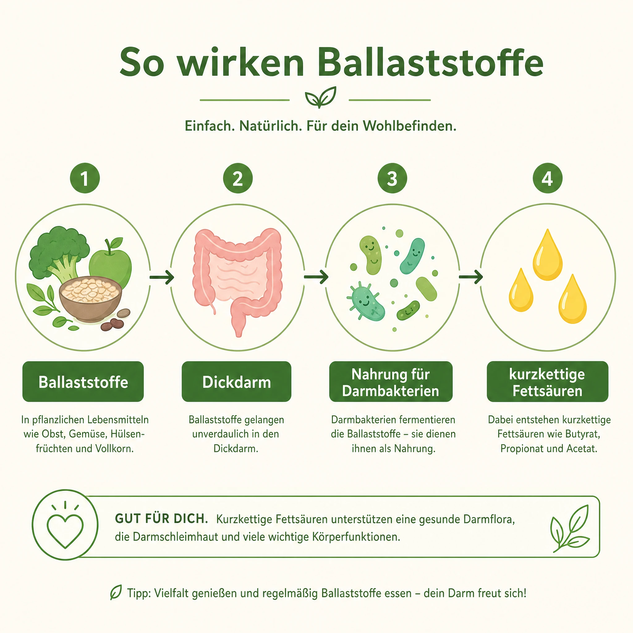 Infografik der besten Ballaststoffquellen mit Richtwerten pro 100 Gramm: Weizenkleie, Chiasamen, Leinsamen, Kichererbsen und Haferflocken